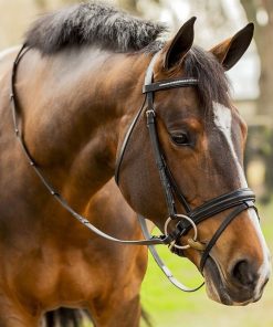 Equinavia Saga Dressage Crank Noseband Bridle