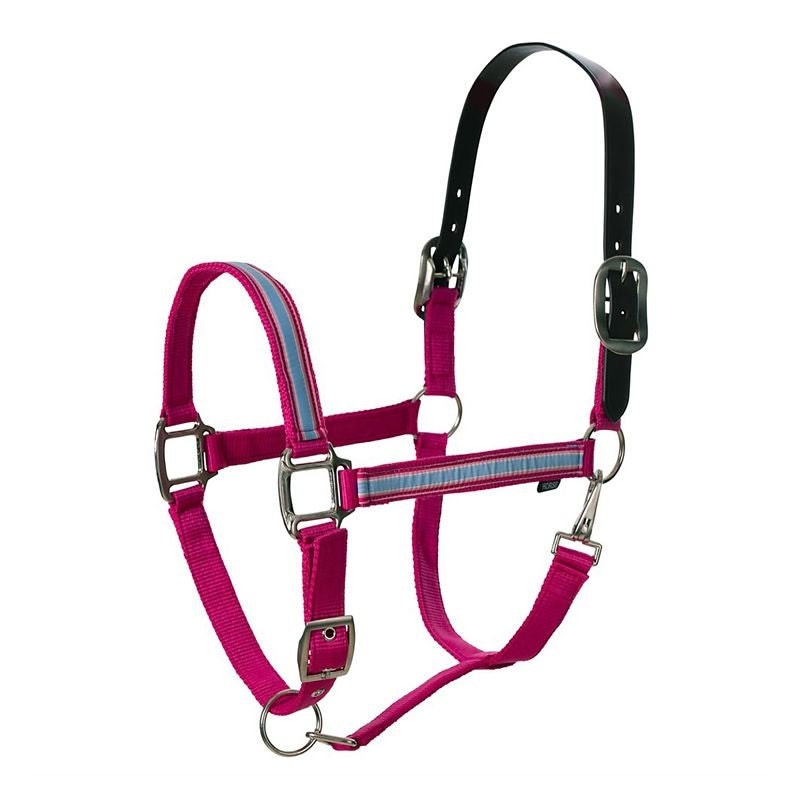Equinavia Ribbon Break Halter - Image 4