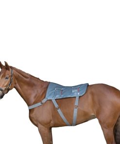 Equilibrium Therapy Massage Pad