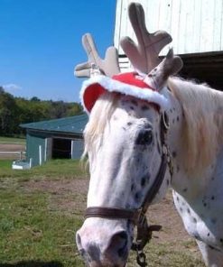 Holiday Horse Antlers
