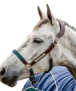 Alternative view of Horseware Sig Braided Halter