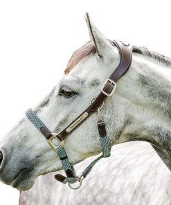 Horseware Sig Braided Halter