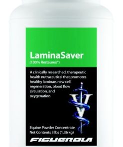 Figuerola LaminaSaver