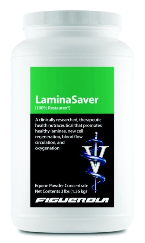 Figuerola LaminaSaver