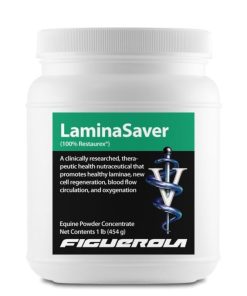 Alternative view of Figuerola LaminaSaver
