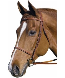 Henri De Rivel Fancy Raised Bridle