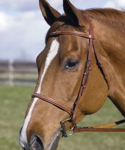 Alternative view of Henri De Rivel Fancy Raised Bridle