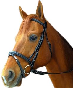 Exselle Elite Dressage Bridle
