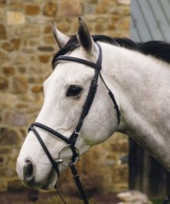 HDR Padded Dress Bridle/Flash