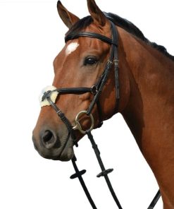 Collegiate Syntovia Figure 8 Bridle