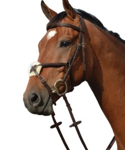 Alternative view of Collegiate Syntovia Figure 8 Bridle