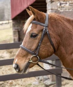 HDR Pro Stress Free Padded Bridle
