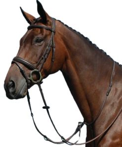 Alternative view of Collegiate Syntovia Martingale