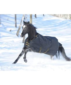 Bucas Irish Extra Heavyturnout 66 Black/Gold
