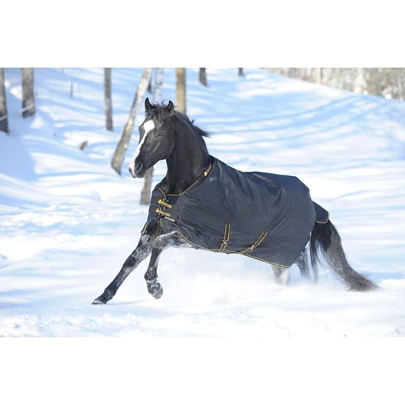 Bucas Irish Extra Heavyturnout 66 Black/Gold