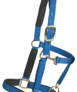 Alternative view of Centaur Super Padded Comfort Halter