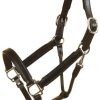 Bridle Leather Padded Halter/Nickel Cob Blk