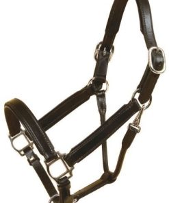 Bridle Leather Padded Halter/Nickel Cob Blk