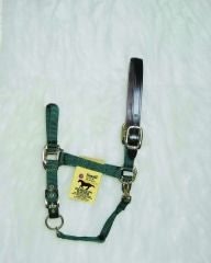 Adjustable Halter with Leather Crown Yearling Blk - Image 8