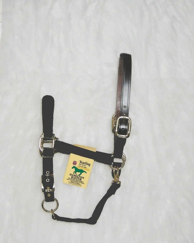 Adjustable Halter with Leather Crown Yearling Blk