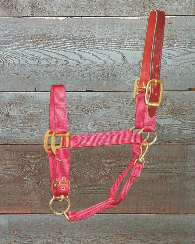 Adjustable Halter with Leather Crown Yearling Blk - Image 10