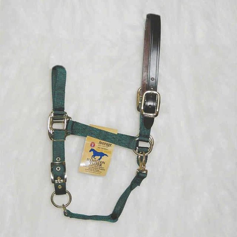 Adjustable Halter with Leather Crown Yearling Blk - Image 2