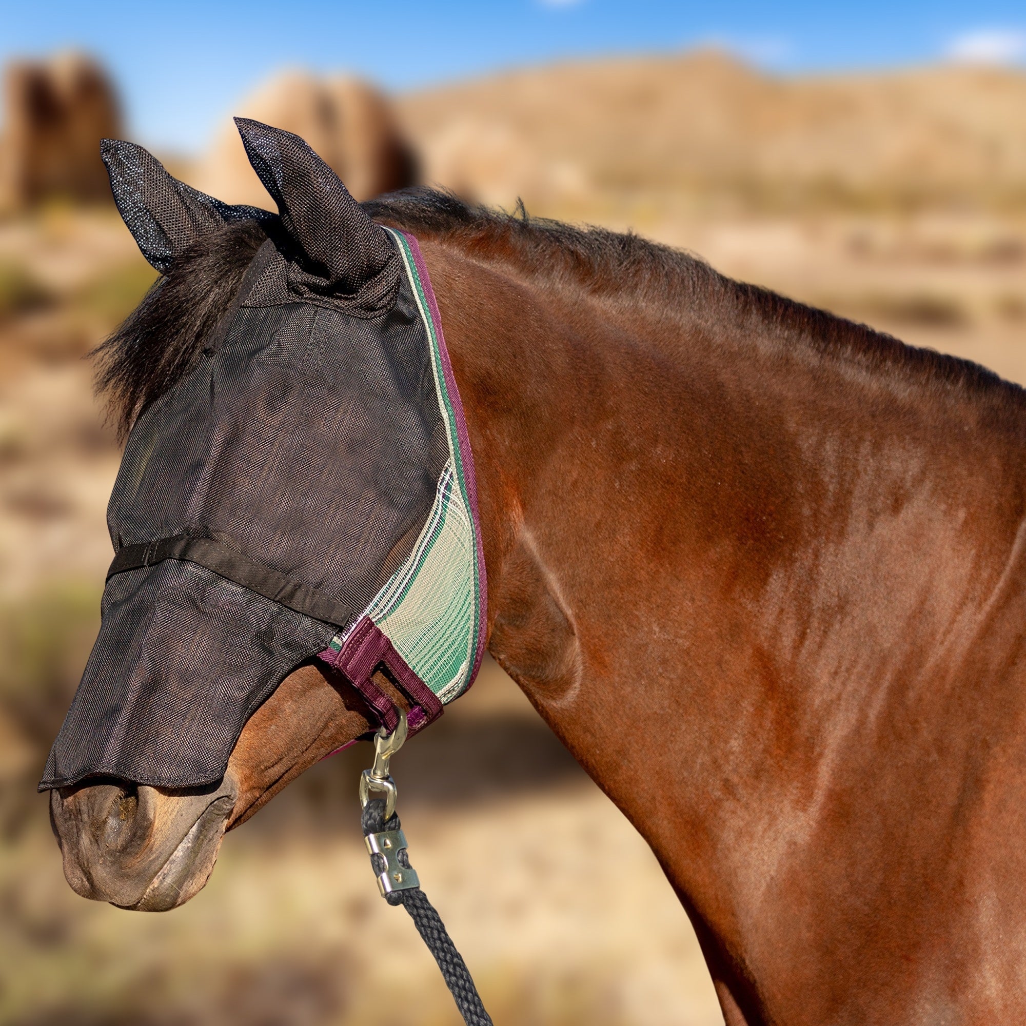 90% UViator Fly Mask CatchMask Ears and Nose - Image 6