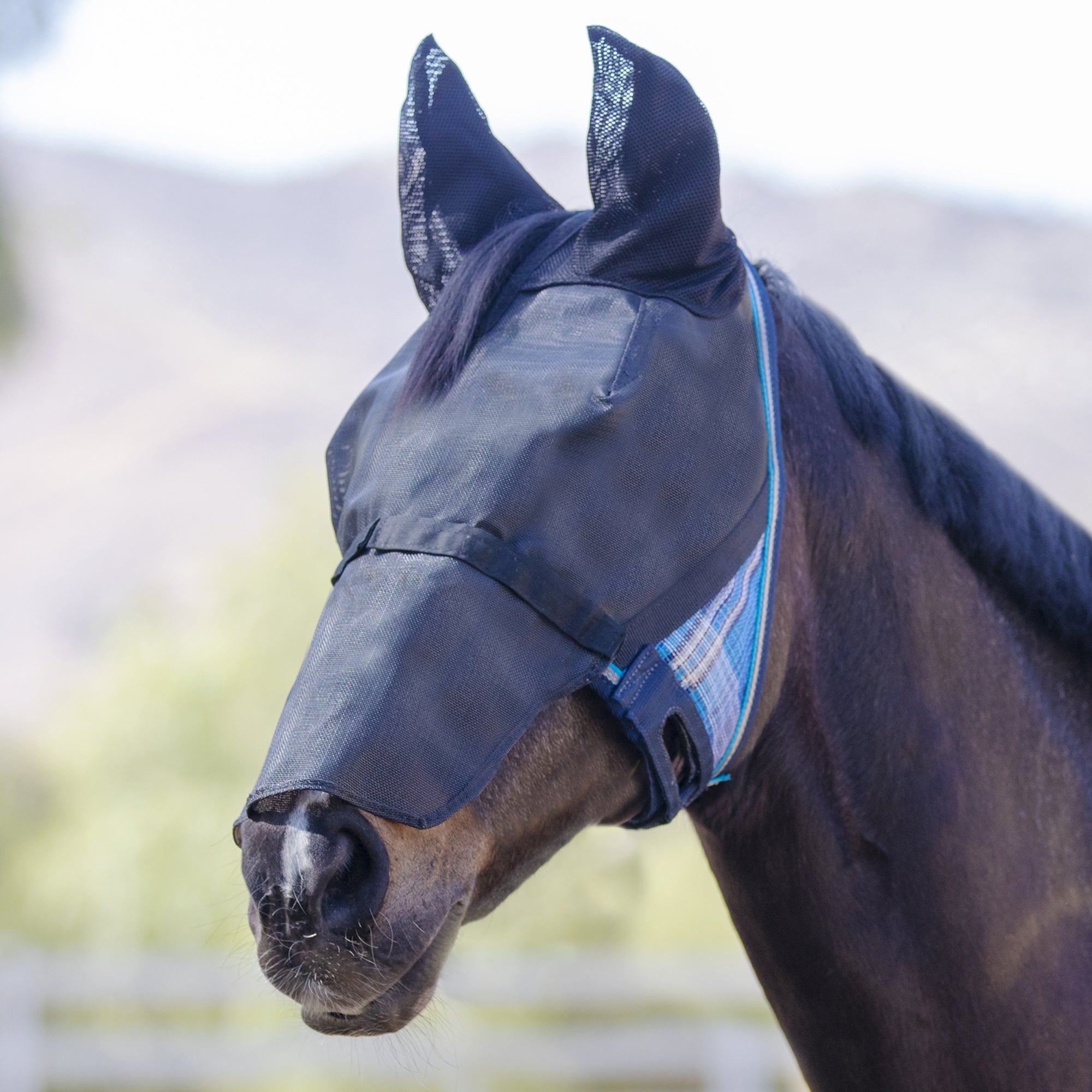 90% UViator Fly Mask CatchMask Ears and Nose - Image 14
