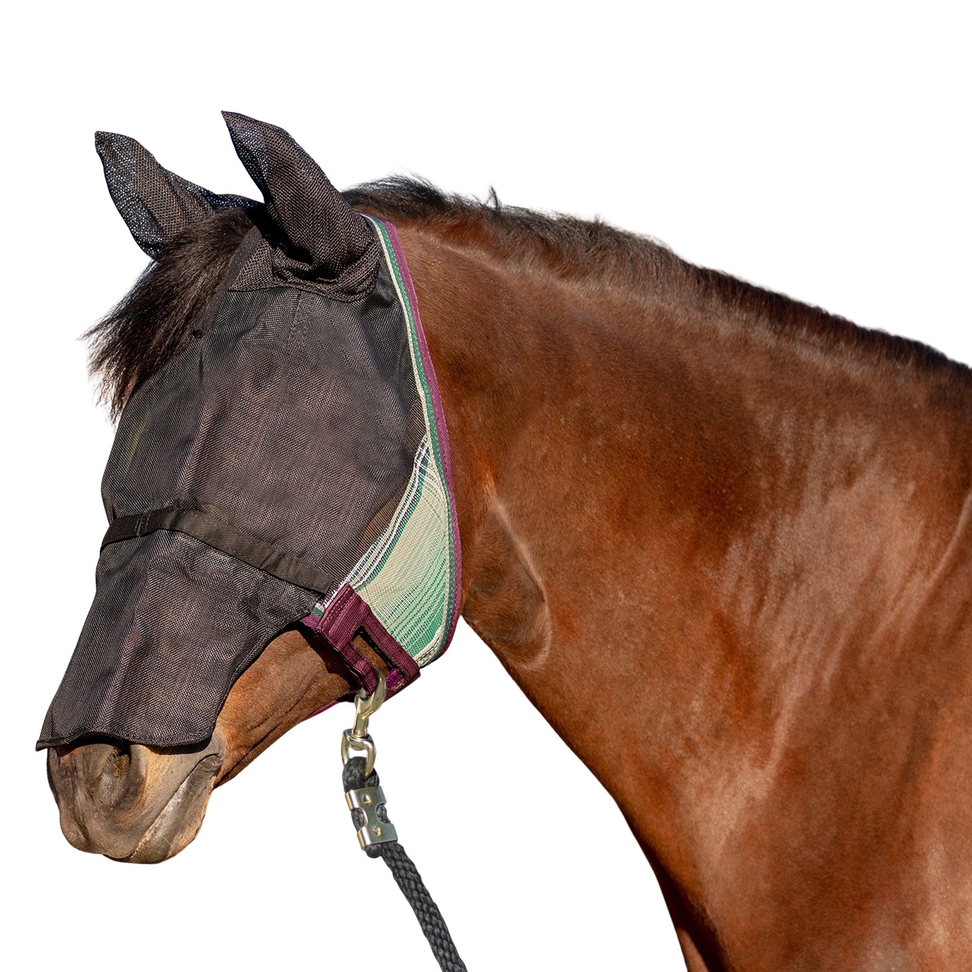 90% UViator Fly Mask CatchMask Ears and Nose - Image 15