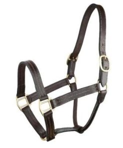 Gatsby Triple Stitched No Snap Halter