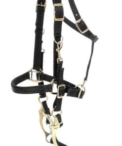 AO Collection Nylon Bridle/Halter Combination