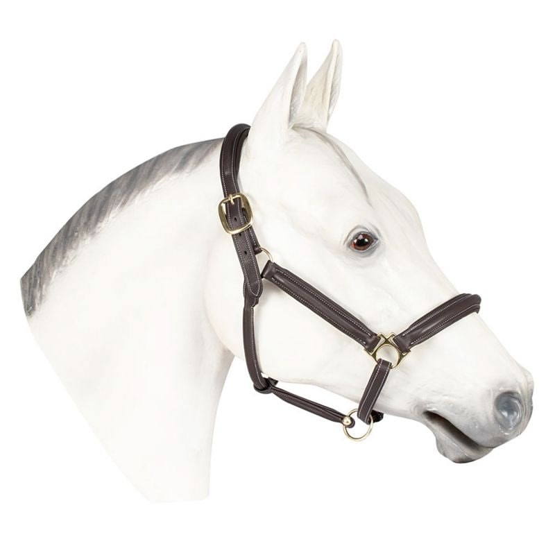 Henri De Rivel Havana Kushy Halter