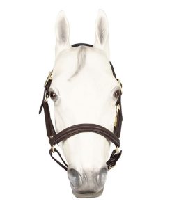 Alternative view of Henri De Rivel Havana Kushy Halter