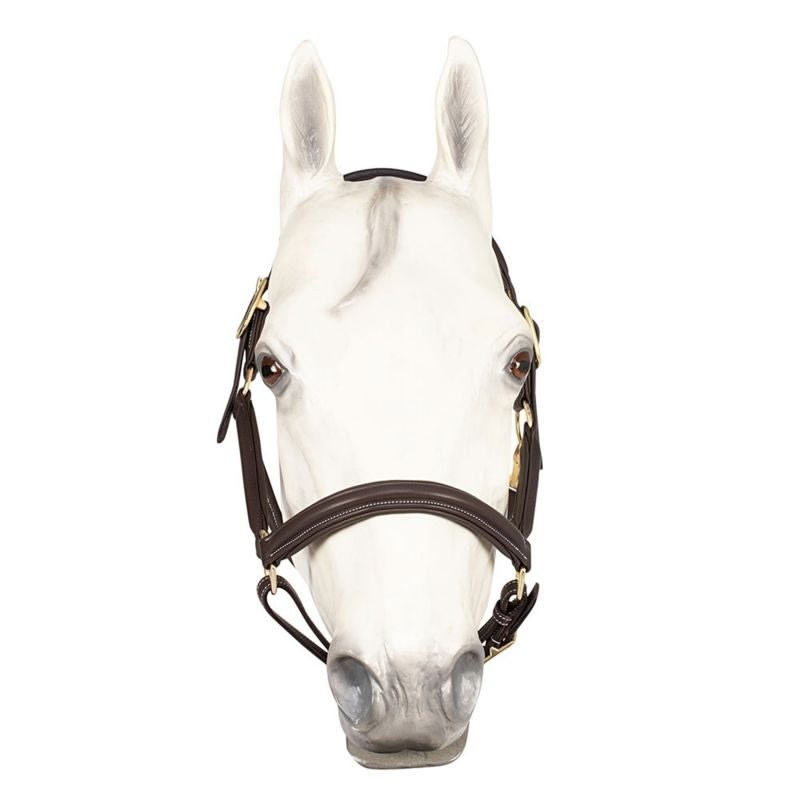 Henri De Rivel Havana Kushy Halter - Image 2
