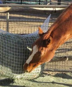 Freedom Feeder Extended Day Slow Feed Hay Net