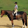 Cashel Quiet Ride Bug Armor - 2 Piece Set