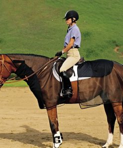 Cashel Quiet Ride Bug Armor - 2 Piece Set