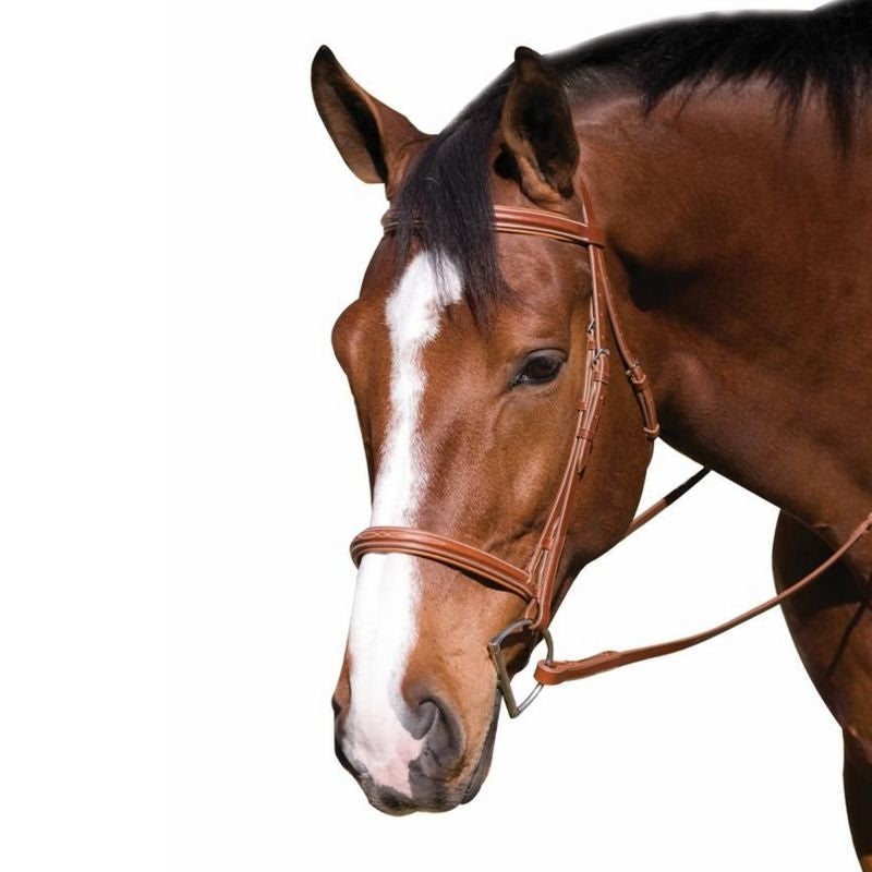 HDR Advantage Fancy Raised Bridle - Image 5