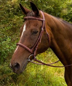 Alternative view of HDR Advantage Fancy Raised Bridle