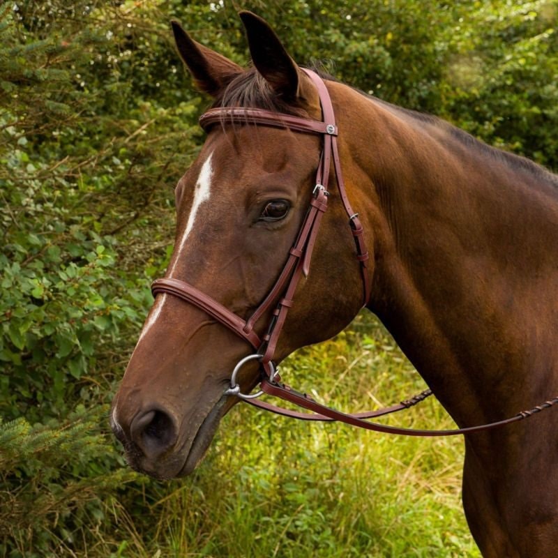 HDR Advantage Fancy Raised Bridle - Image 3
