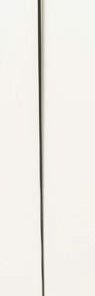 Carbon Fiber Dressage Whip