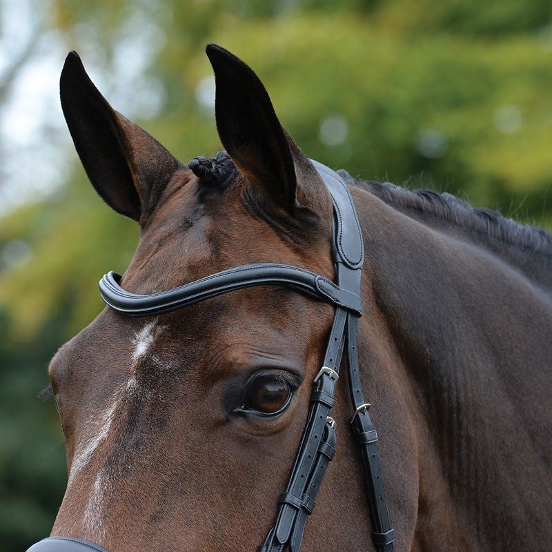 Collegiate Comfitec Vogue Bridle - Image 3