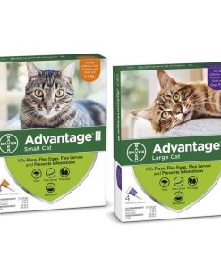 Advantage II for Cats 4-Month Supply