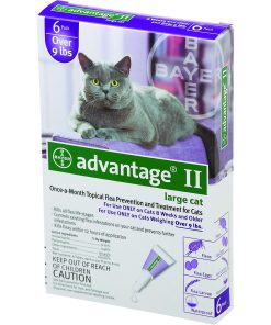 Alternative view of Advantage II for Cats 4-Month Supply