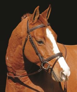 Henri De Rivel Monocrown Event Bridle