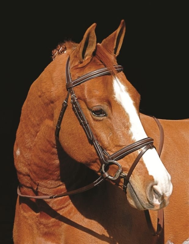 Henri De Rivel Monocrown Event Bridle