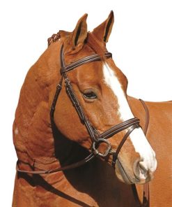 Alternative view of Henri De Rivel Monocrown Event Bridle