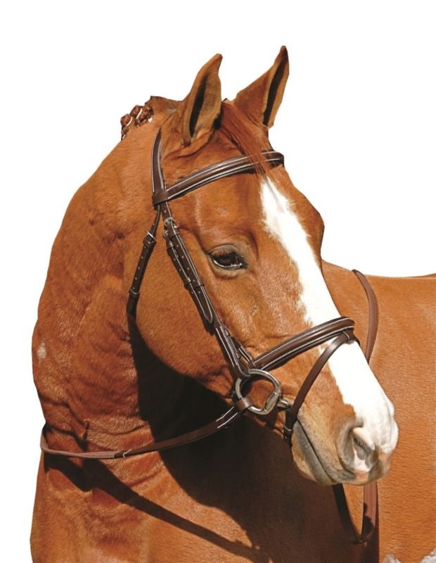 Henri De Rivel Monocrown Event Bridle - Image 2