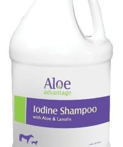 Alternative view of Aloe Iodine Shampoo 32oz