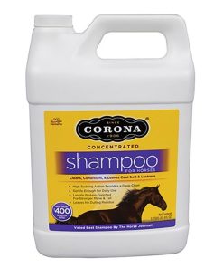 Corona Shampoo